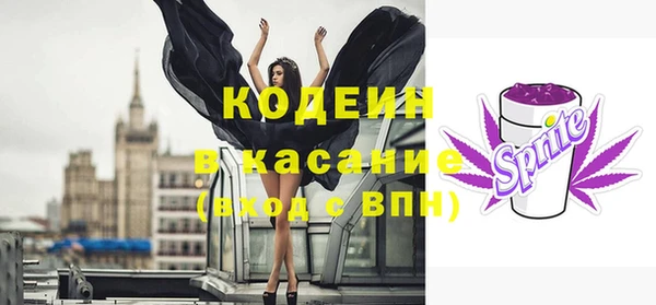 apvp Кирсанов
