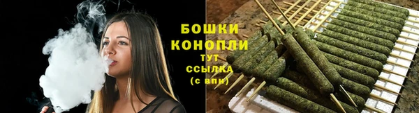 гидропоника Ладушкин