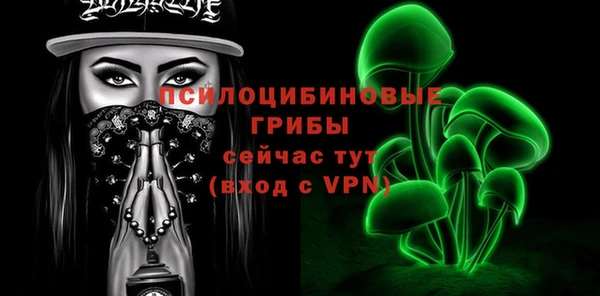 мдпв Кукмор