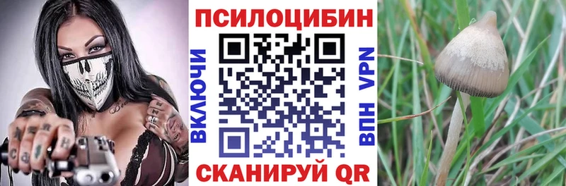 Галлюциногенные грибы GOLDEN TEACHER  закладка  Меленки 